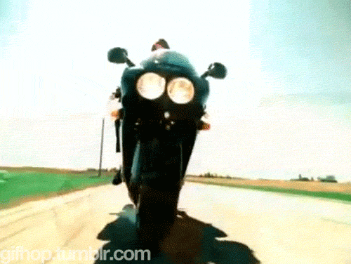 2432157-5701464220-tumbl.gif